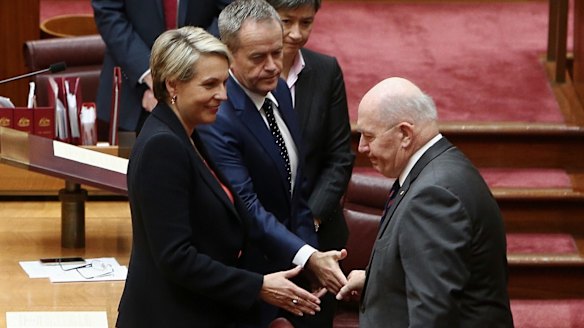 Governor-General Sir Peter Cosgrove was accused of snubbing deputy Labor leader Tanya Plibersek.
