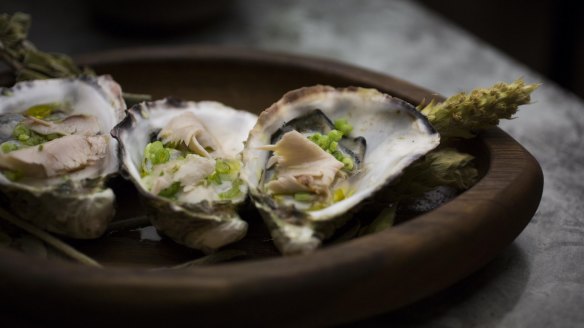 Coffin Bay oysters with lountza (cured pork) and pickled parsley at Barzaari. 