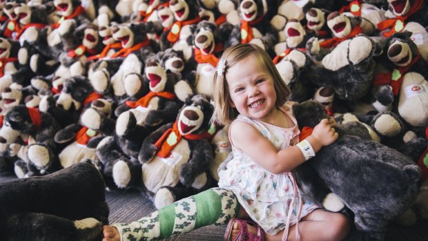 Zara Davidson of Harrison with some of the teddy bears to be given out at the Canberra Special Children's Christmas Party at Thoroughbred Park on Sunday.