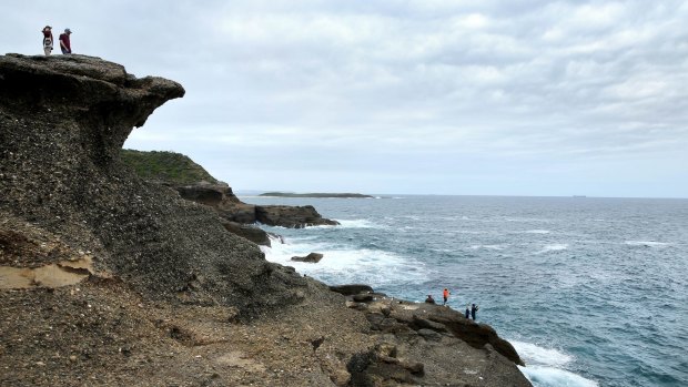 The cliff face at Snapper Point, Lake Munmorah State Conservation Park.