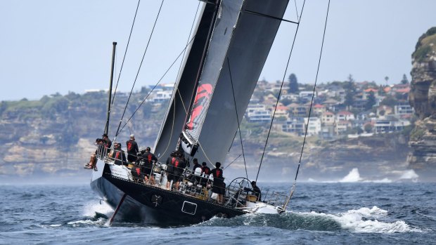 Front-runner: LDV Comanche sails past the South Heads.