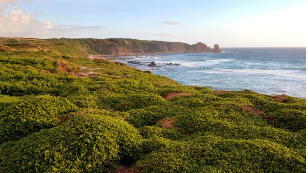 The man drowned at Cape Woolamai, Phillip Island.