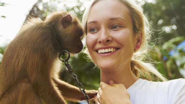 When you pose for a selfie with a monkey, ask yourself how it was trained to be so docile.