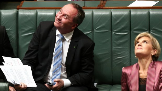 Agriculture Minister Barnaby Joyce and Foreign Affairs Minister Julie Bishop observe a leak from the roof during question time.