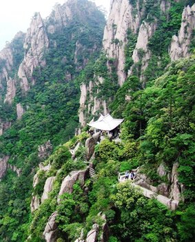 ''Plant hunter"' Robert Fortune travelled widely through China in the 1800s.