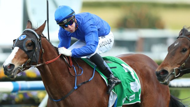 Consistent performer: Brenton Avdulla rides Pearls to win the Toy Show Quality at Randwick.