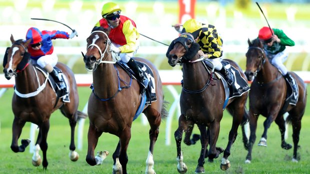 Streets ahead: Brenton Avdulla rides Omei Sword to win the Silver Shadow Stakes at Randwick.