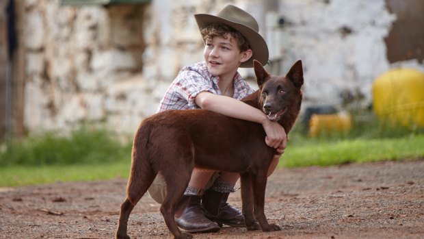 Crowd-pleaser: Levi Miller and Phoenix in <i>Red Dog: True Blue</i>.