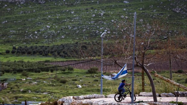 A boy plays near settlement vineyards in the Israeli-occupied West Bank. Human Rights Watch found Palestinian children working in hazardous conditions for low wages on settlement farms.