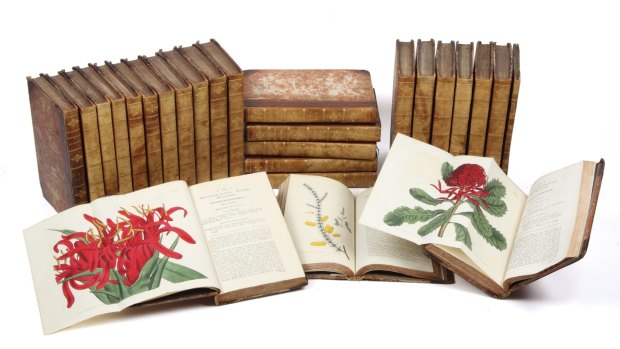 Natural world: A Curtis Botanical Magazine set from Hordern House Rare Books.