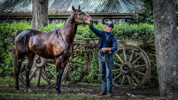 What a day: Hawkesbury trainer Jason Attard with his first group 1 runner, Sons Of John, will run in the $1 million Epsom Handicap.