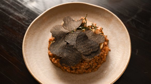 Buckwheat risotto with truffle.