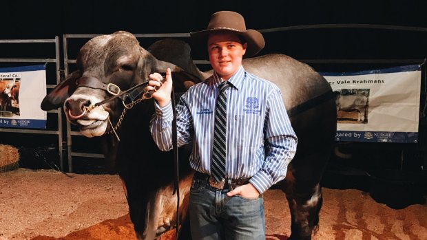 Nudgee College student Lewis Cammack with Mr Watson the brahman bull.