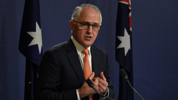 Malcolm Turnbull has blamed Labor's "Mediscare" campaign for the loss of seats.