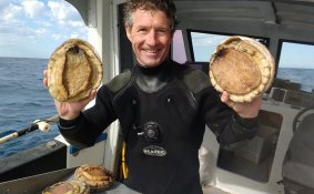 Marc Payne, who has been diving off the WA coast for 28 years, says great white sightings have doubled since 1999. 