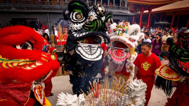 Lion dance in the courtyard of the Bright Moon Buddhist temple during Lunar New Year celebrations 2016.