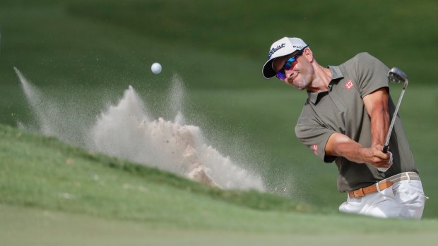 Trouble: Adam Scott hits out of the bunker on day two of the Australian PGA Championships at Royal Pines.