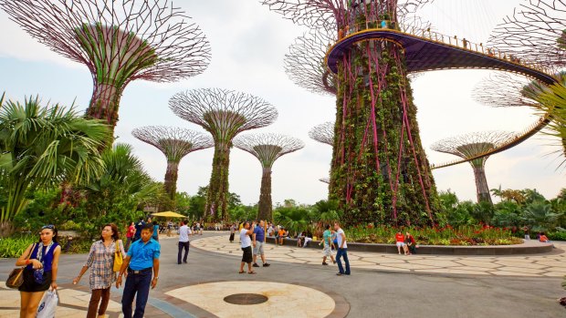 Singapore's Gardens by the Bay is a must-see when visiting the city.