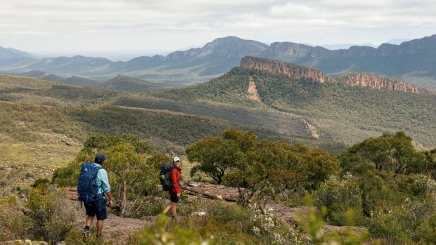 Uniting previously unconnected pathways and crossing other established trails, this 160 kilometre track provides hikers with a single continuous trail beginning at Mount Zero in the north and finishing at Dunkeld in the south.