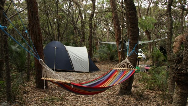 A secluded camp site at Mimosa in NSW.