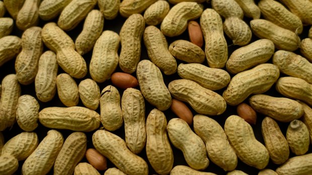 In the study, some children were feed foods containing pureed peanuts and others told to avoid the nuts until they turned five.