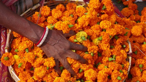 Flowers for sale in the Mullik Ghat flower market in Kolkata. 