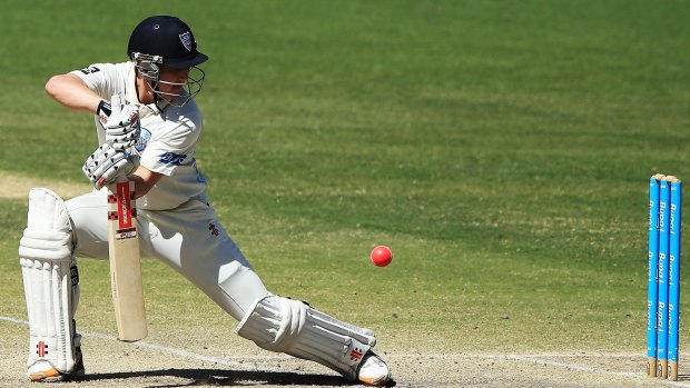 Best of the lot: NSW batsman Nic Maddinson.