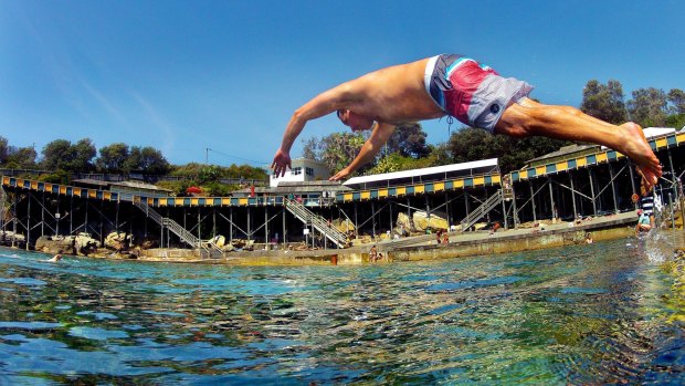 Cooling off: Miles Chappell of Maroubra dives into Wylie's Baths at Coogee.