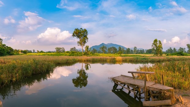 Nam Sang Wai is a wetland area and nature reserve in the New Territories that is protected by the Hong Kong government.
