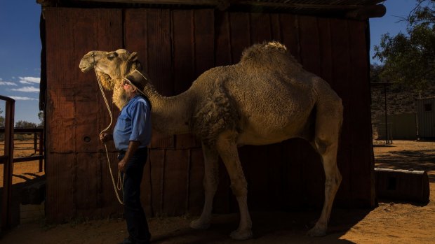 Camels Australia proprietor Neil Waters with "Bull".