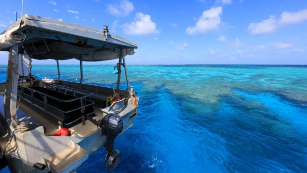 The majesty of the Great Barrier Reef has to be seen to be believed.
