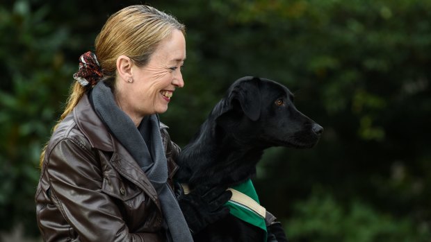 Court support dog Coop is Australia's first dog trained to comfort abuse victims as they give evidence in court. Pictured with owner and K9 Support founder Tessa Stow.