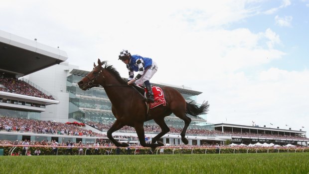 Protectionist romps home to win the 2014 Melbourne Cup.