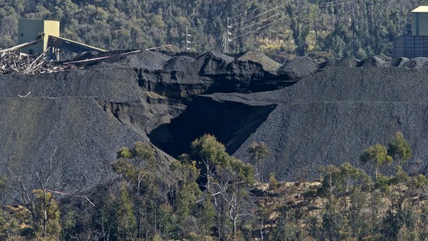 "We're currently hemorrhaging jobs, not only in the renewables sector, also in the mining sector. It's really a very serious situation:" Dr Donna Green. 