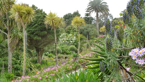 At Tresco Abbey Gardens on the Scilly Islands, staff gathered and nurtured thousands of plants from around the planet.