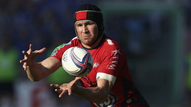 In the frame: Matt Giteau's form for Toulon would have him firmly in World Cup calculations.