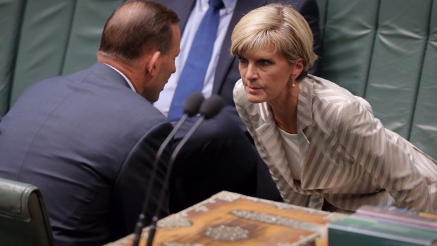 When Julie Bishop put the case to the cabinet, no one raised any objection. 