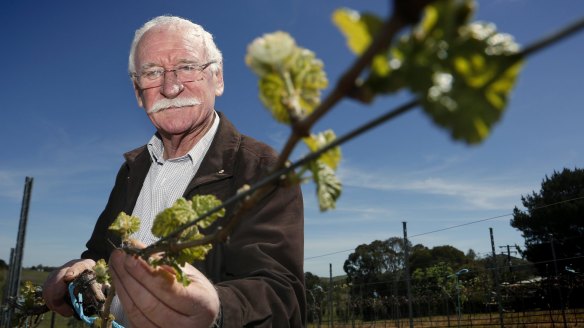 Winemaker Ken Helm says 2015 is "the vintage of a lifetime".