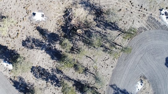 Land-clearing north of Moree in NSW. 