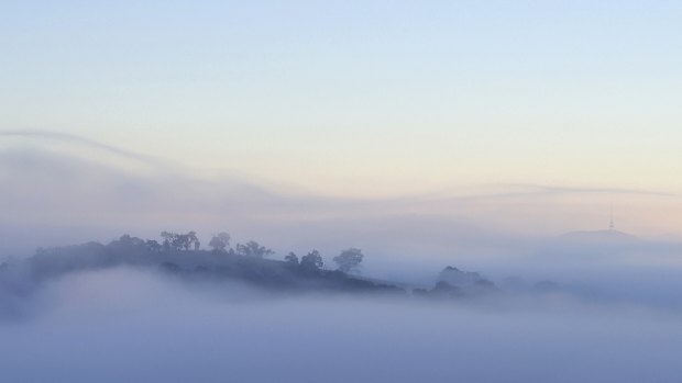 A reader captured this misty morning shot for the <i>Canberra Times'</i> Winter Photo Competition. 