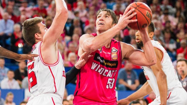 Skipper Damian Martin insists the Wildcats don't hate the Adelaide 36ers.