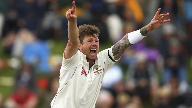 Aussie quick James Pattinson looks to be getting back to his best form.