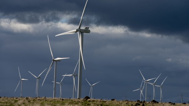 The Macarthur wind farm in western Victoria. The Victorian government has set a target of zero emissions by 2050.