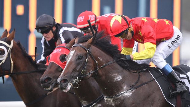 Narrow margin: Kerrin McEvoy shades Redzel on Russian Revolution.