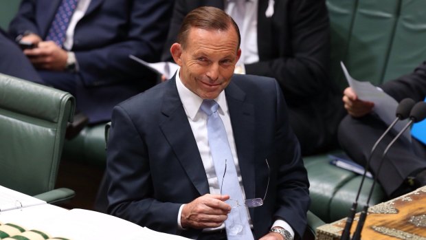 It has been a year of "what ifs" for the Abbott government.