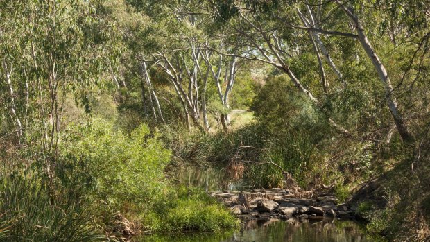 Kororoit Creek at Deer Park