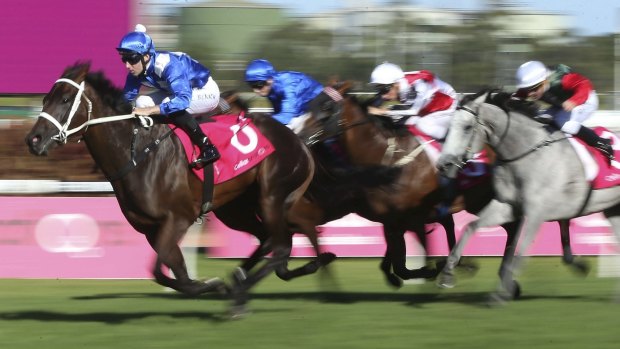 Unbackable favourite: Winx takes out the Queensland Oaks.