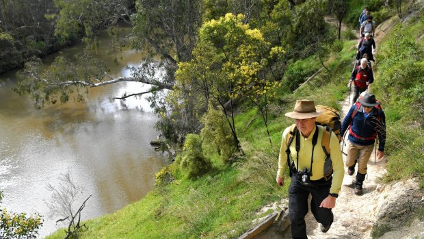 Peter Campbell leads a group of bushwalkers along a Yarra River trail. 