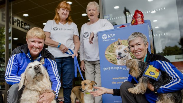 A donation bin for rescue dog's has been launched at Ainslie Shops.
(Back) ARF members Helen Shannon and Wendy Parsons with co-owners of Dogs on the Run Barbara Grundy and Carolyn Kidd.


