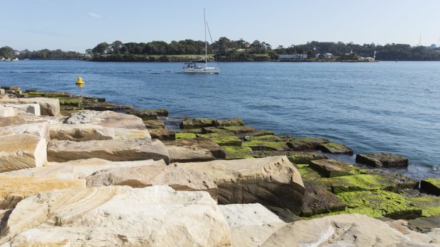 Above the surface: The newly built headland at Barangaroo.